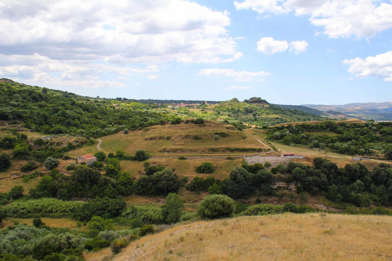 Bed and Breakfast Antas Padria Zewnętrze zdjęcie
